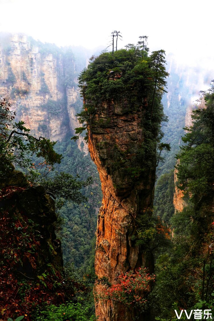 (回顾第二十八期) "龙脉影像" 【风景生态】精选作品展