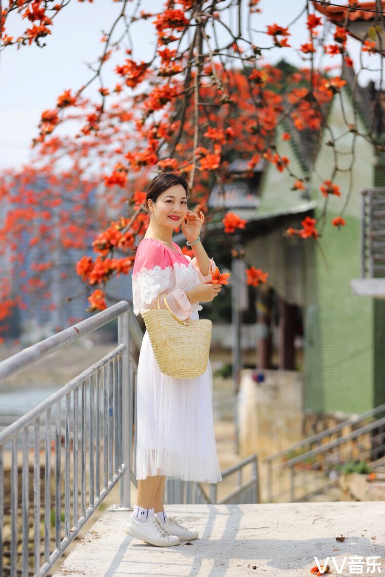 木棉树下的美丽时光