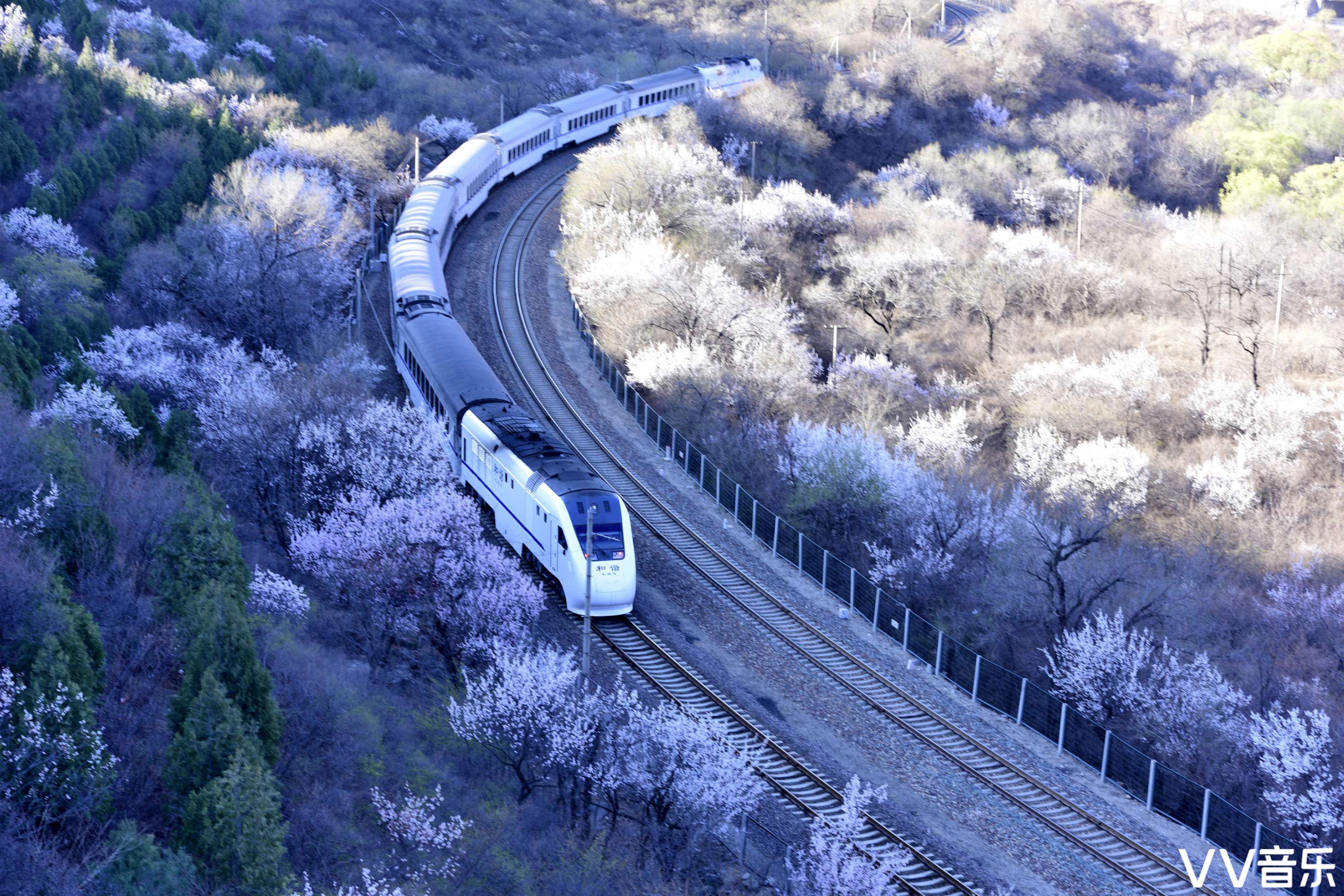 开往春天的列车