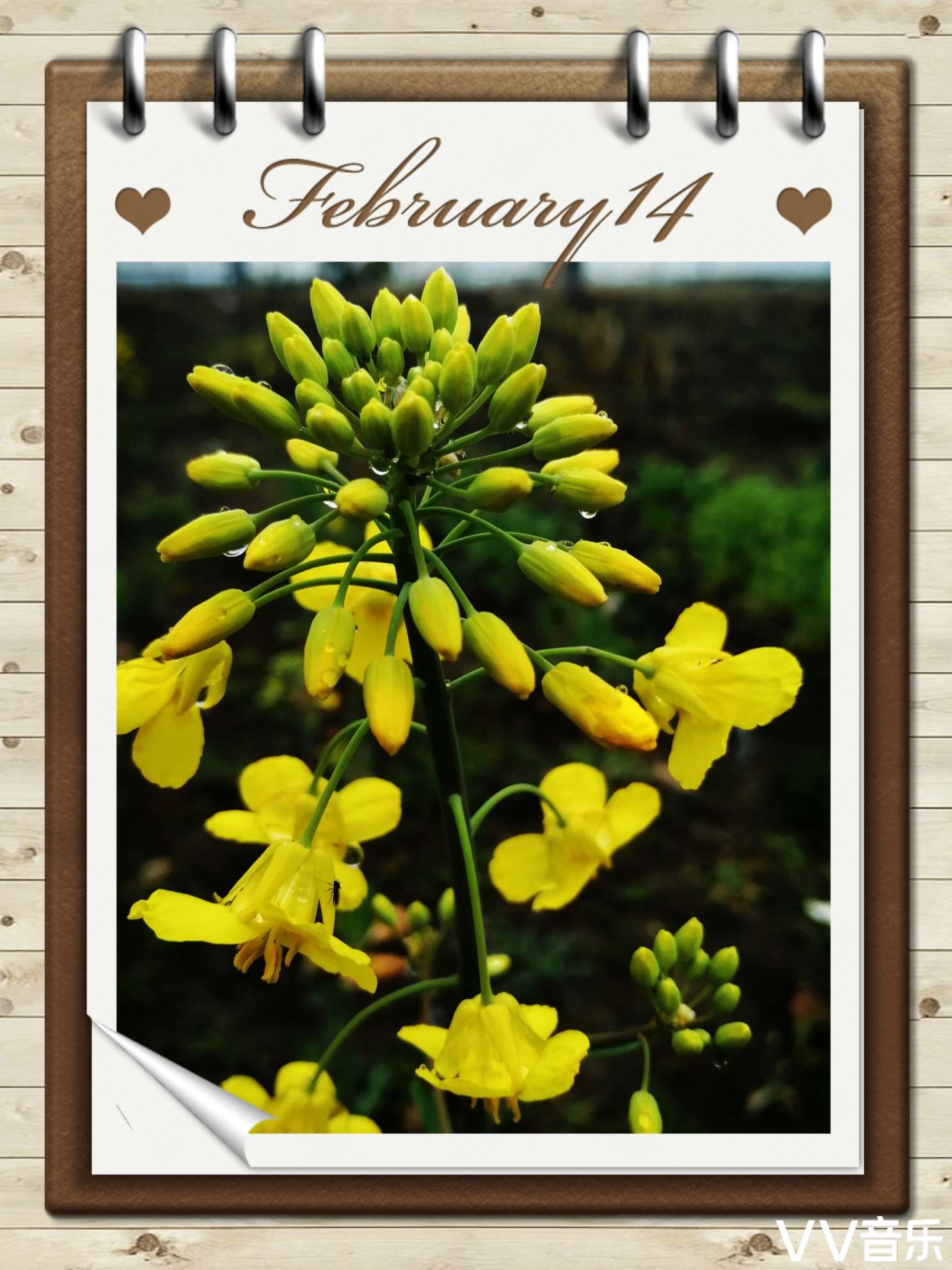 【西窗剪烛合辑第16期】