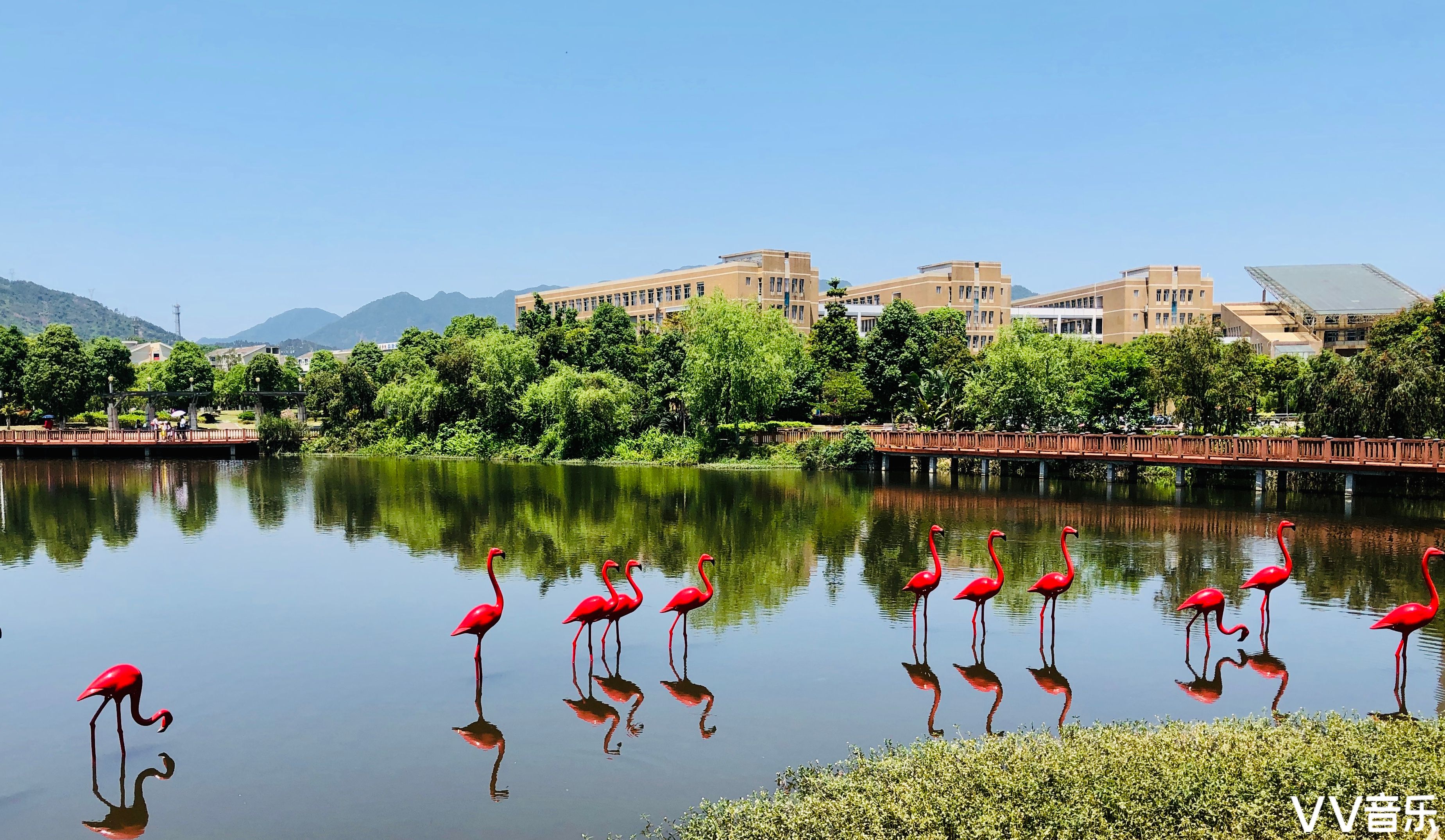 福州大学 美景图片