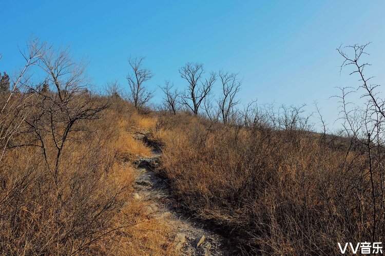 香山刀背岭图片