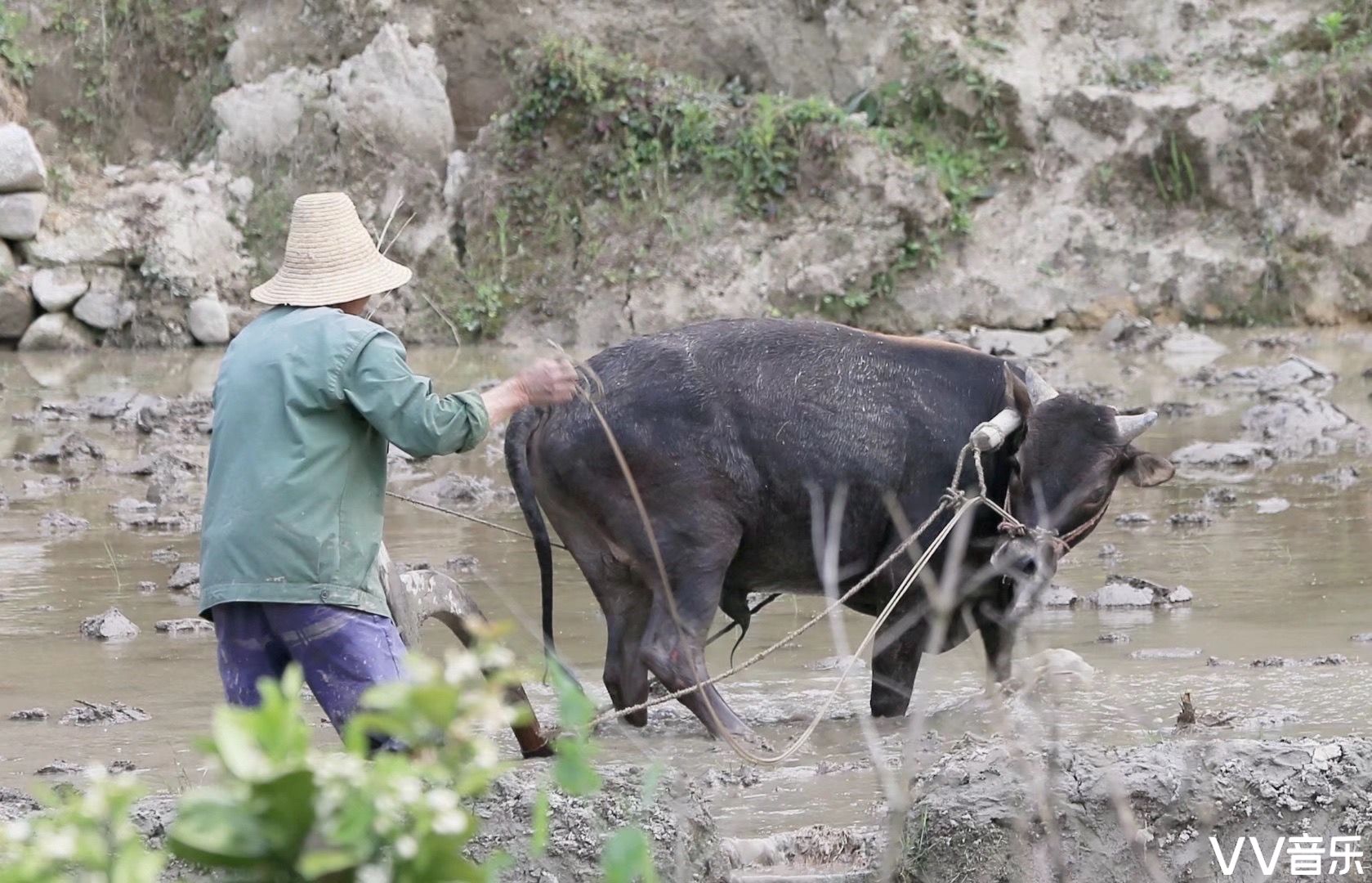 《牛耕圖》