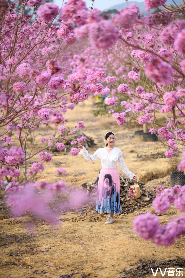 蜂吟蝶起花间舞笑对春风看花醉