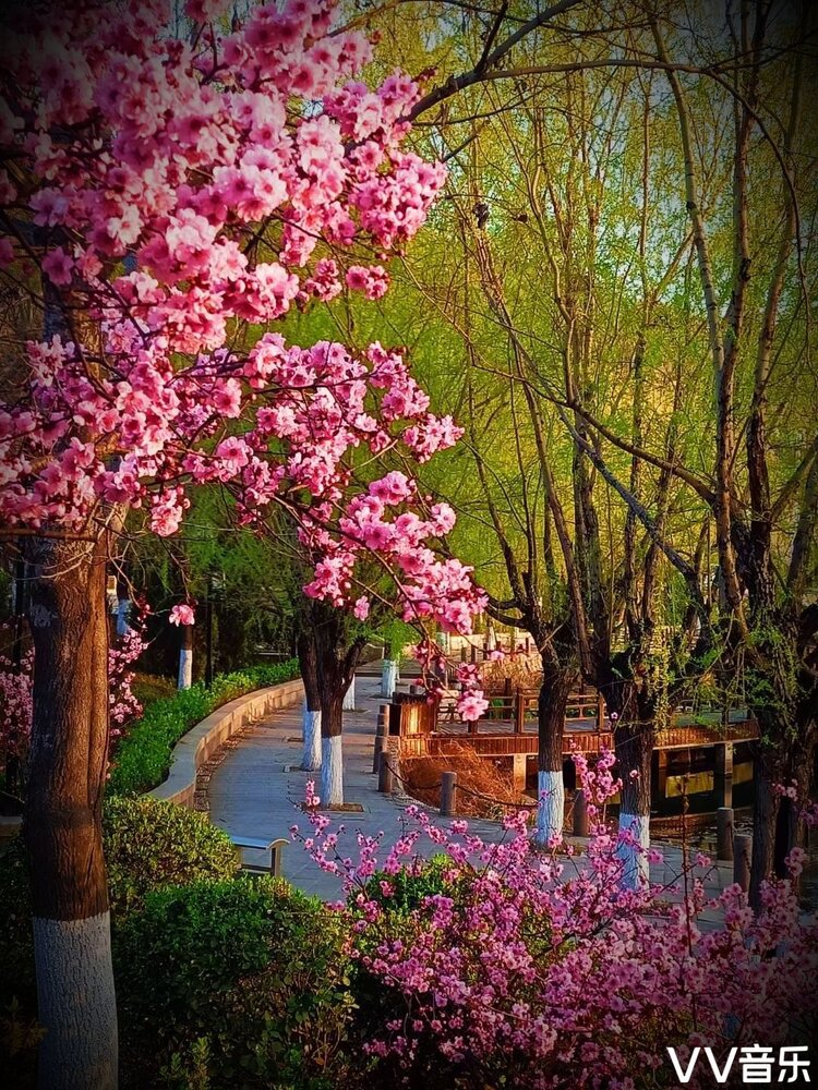 高清鲜艳的春景图片图片