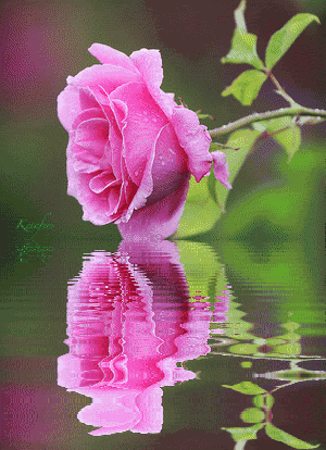 300_414竖版 竖屏gif 动态图 动图