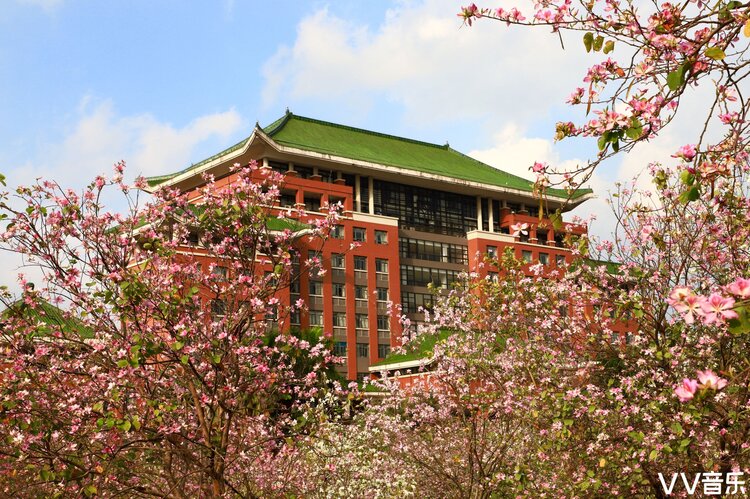 当你在春光明媚的季节走进华农大校园,你会发现整个校园都被鲜花包围